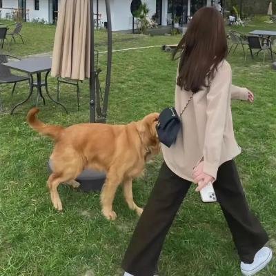 猎狼者